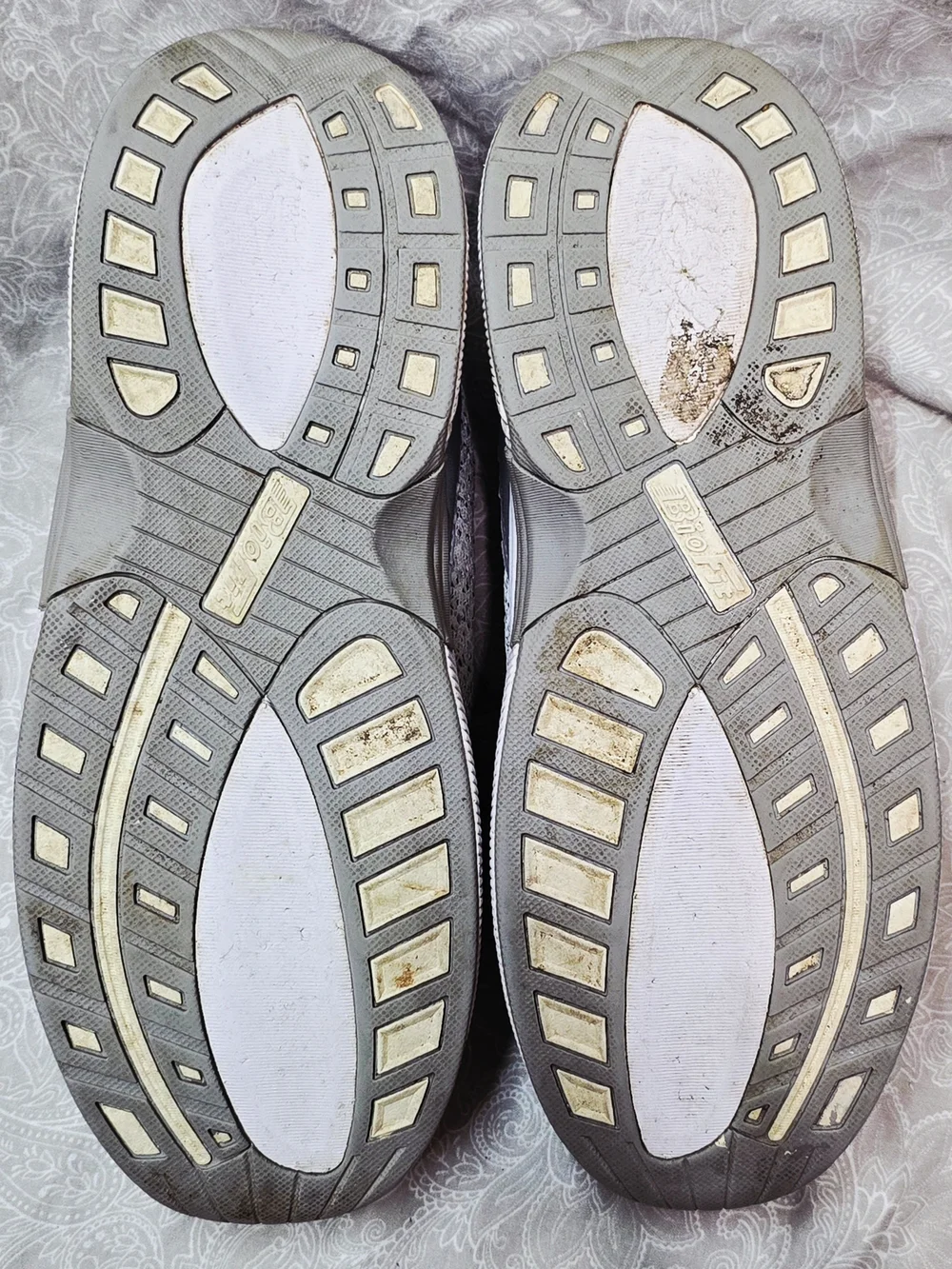 Orthofeet coral sandy